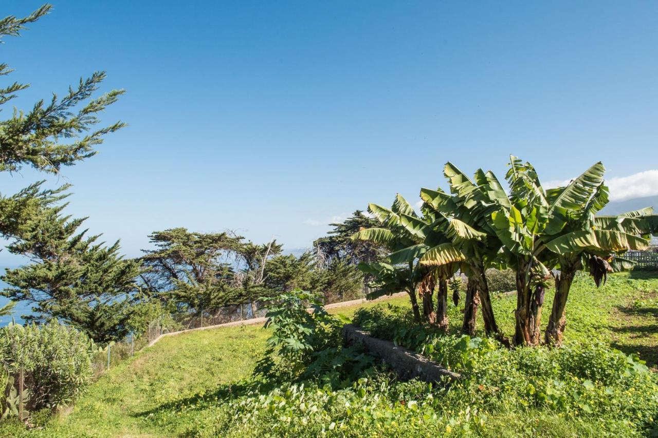 Casas En Finca Ecologica La Espiral, Naturaleza, Calma Y Vistas Al Mar, Icod el Alto Zewnętrze zdjęcie