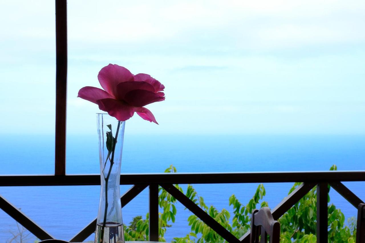 Casas En Finca Ecologica La Espiral, Naturaleza, Calma Y Vistas Al Mar, Icod el Alto Zewnętrze zdjęcie