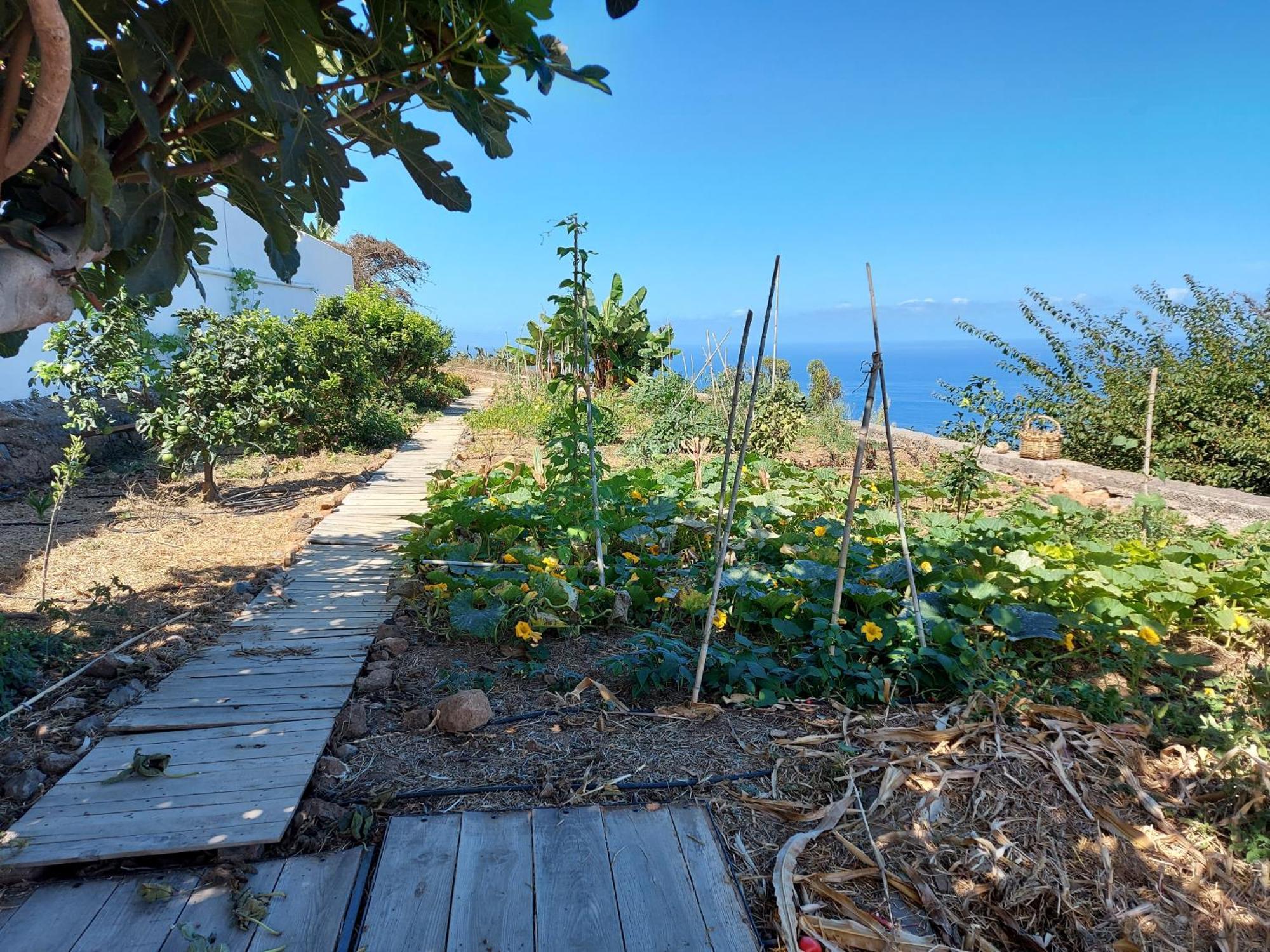 Casas En Finca Ecologica La Espiral, Naturaleza, Calma Y Vistas Al Mar, Icod el Alto Pokój zdjęcie