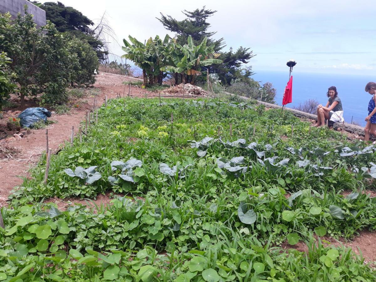 Casas En Finca Ecologica La Espiral, Naturaleza, Calma Y Vistas Al Mar, Icod el Alto Zewnętrze zdjęcie